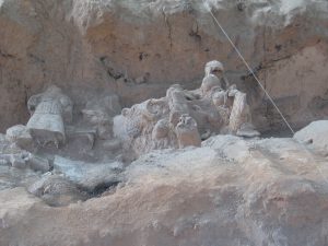 IMG_1847