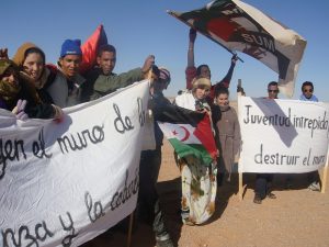 Pinchar para ampliar