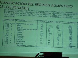regimen
