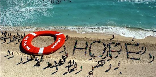 Greenpeace blog JVC