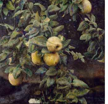 Membrillo, óleo de Antonio López