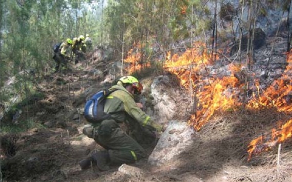 Patrulla forestal (incendio)