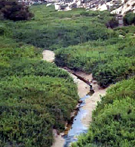 riomula