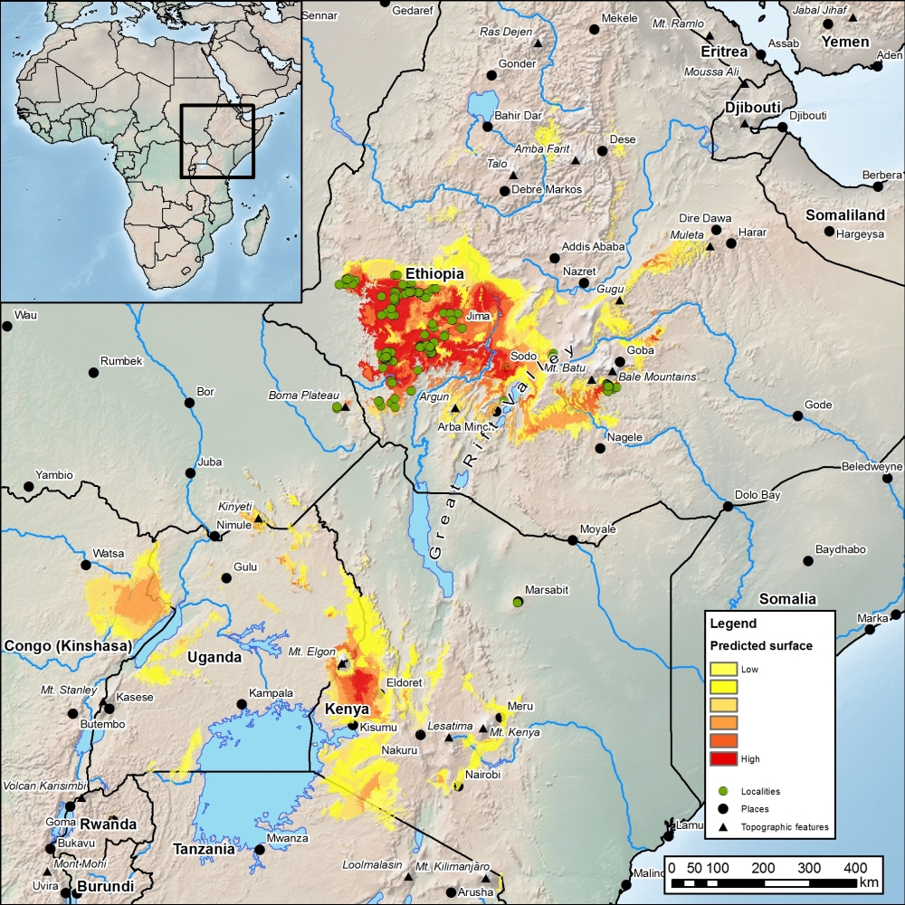 Distribución del café arabica