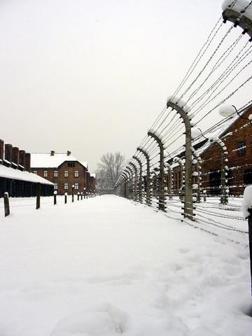 Imagen de las alambradas del campo de concentración de Auschwitz. / Wikipedia