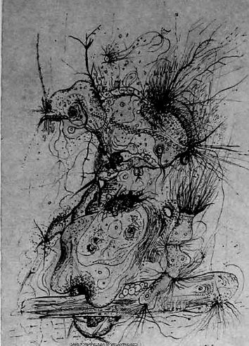 Exposición 14 febrero - 26 mayo 2014 Edificio Sabatini. Planta 3 Wols Sin título, 1942. Tinta y acuarela sobre papel. / museoreinasofia.es