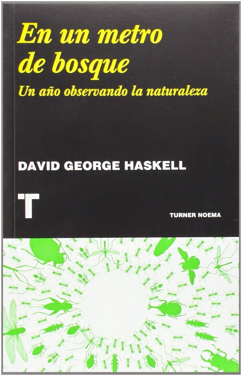 metro_bosque_haskell metro_bosque_haskell