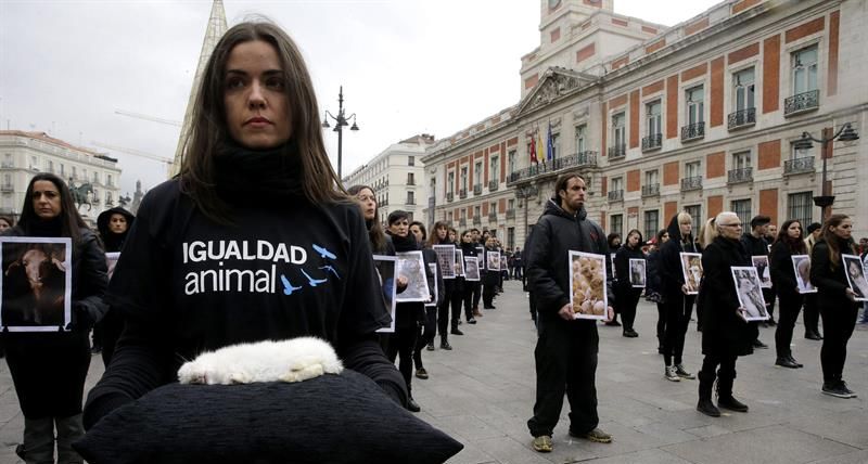 Alrededor de 400 personas se concentraron ayer en la madrileña Puerta del Sol para protestar contra el maltrato animal, mostrando fotografías y ejemplares muertos, en el Día Internacional de los Derechos Animales. / Zipi (Efe)