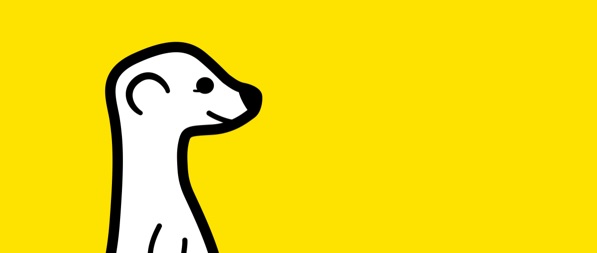 meerkat