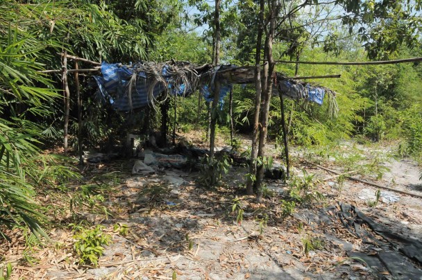 Imagen de un campo abandonado en la jungla, en la provincia de Takua Pa. (Mónica G. Prieto)