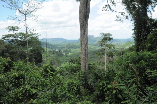 Vista desde un alto del campamento de Padang Besar. Al otro lado de las montañas, Malasia. (M.G.P.)