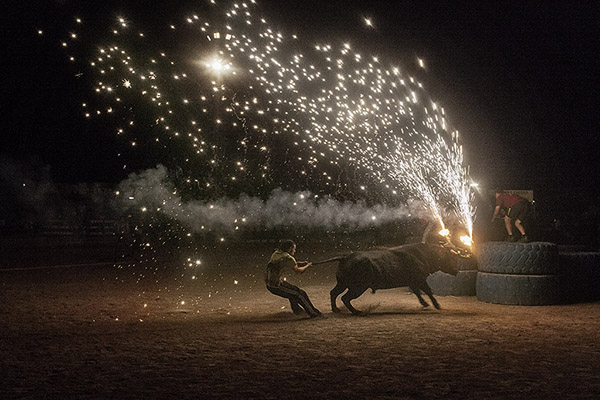 Escena de Santa Fiesta