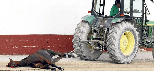 Caballo muerto en una carrera