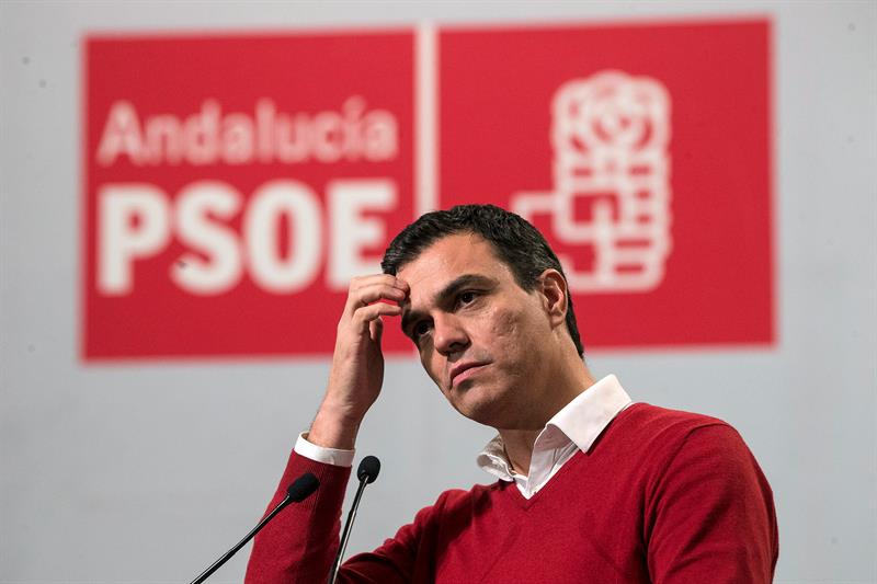 sanchez_20D_campaña