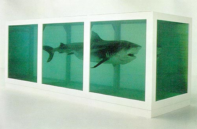 hirst_tiburón