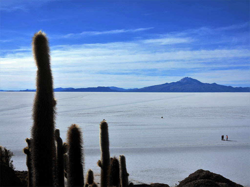 Salar de Uyuni visto desde la isla Incahuasi. / J.M.