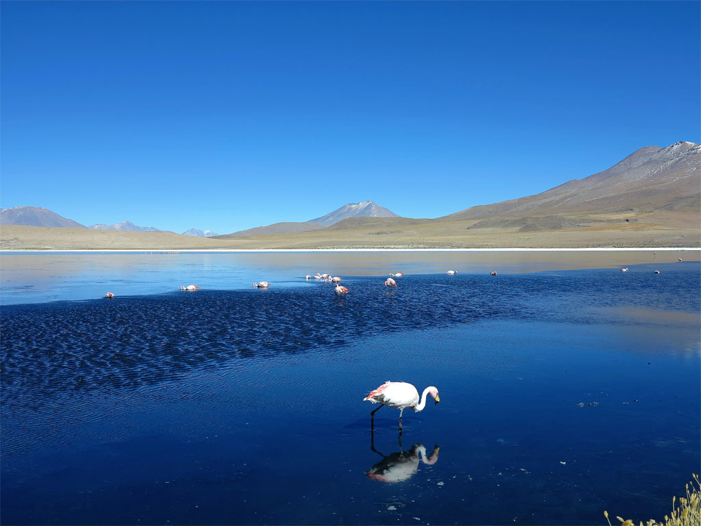 La laguna azul, a casi 4.000 metros de altura, cerca de la frontera con Chile. / J.M.