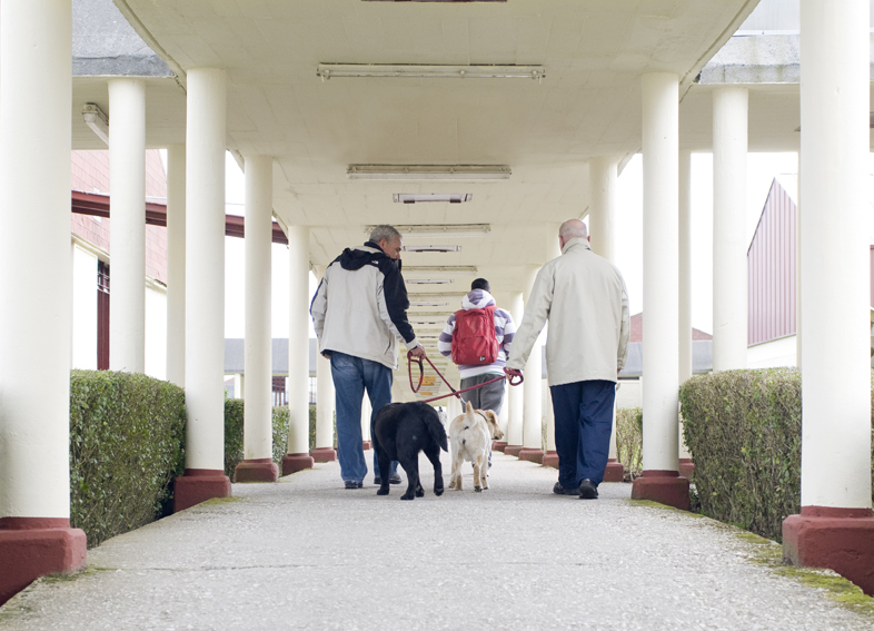 Terapias con perros en Instituciones Penitenciarias.