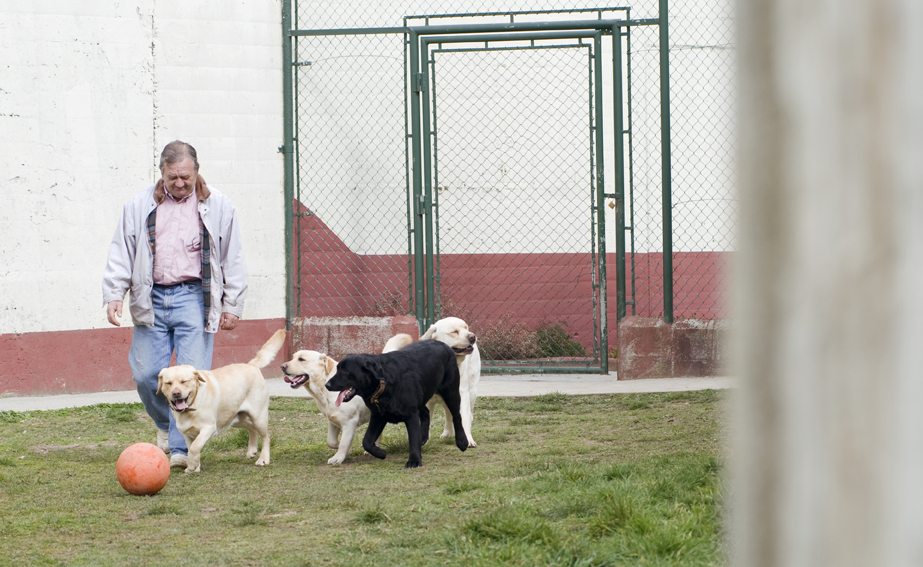 Terapias con perros en Instituciones Penitenciarias.