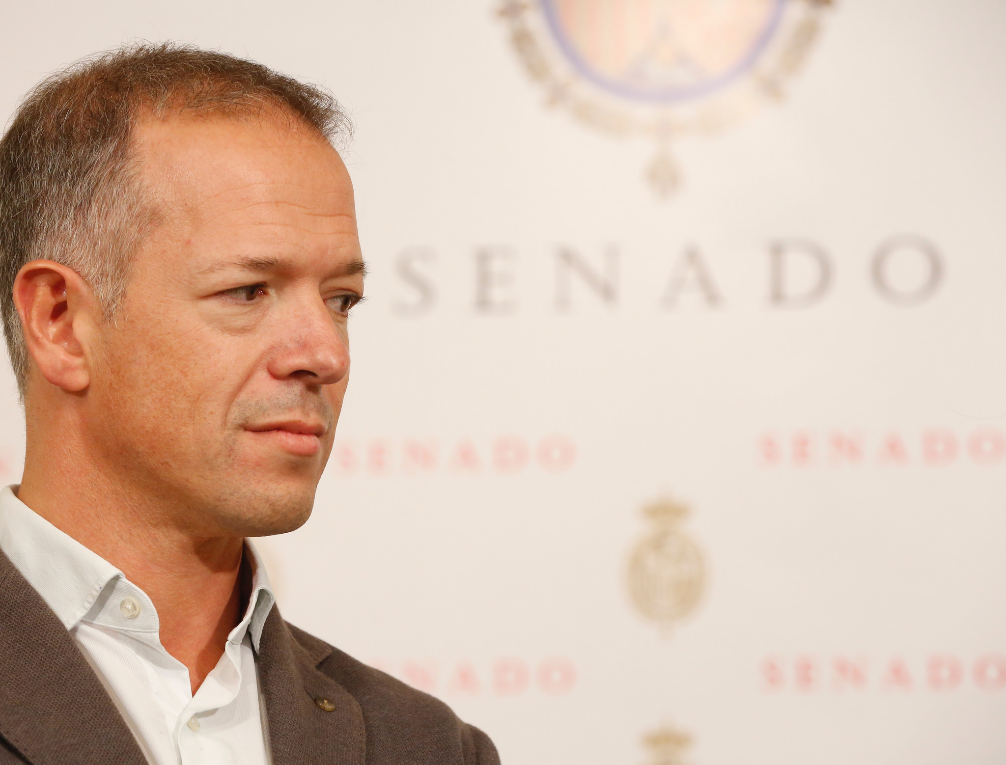 El portavoz del PSOE en el Senado, Ander Gil