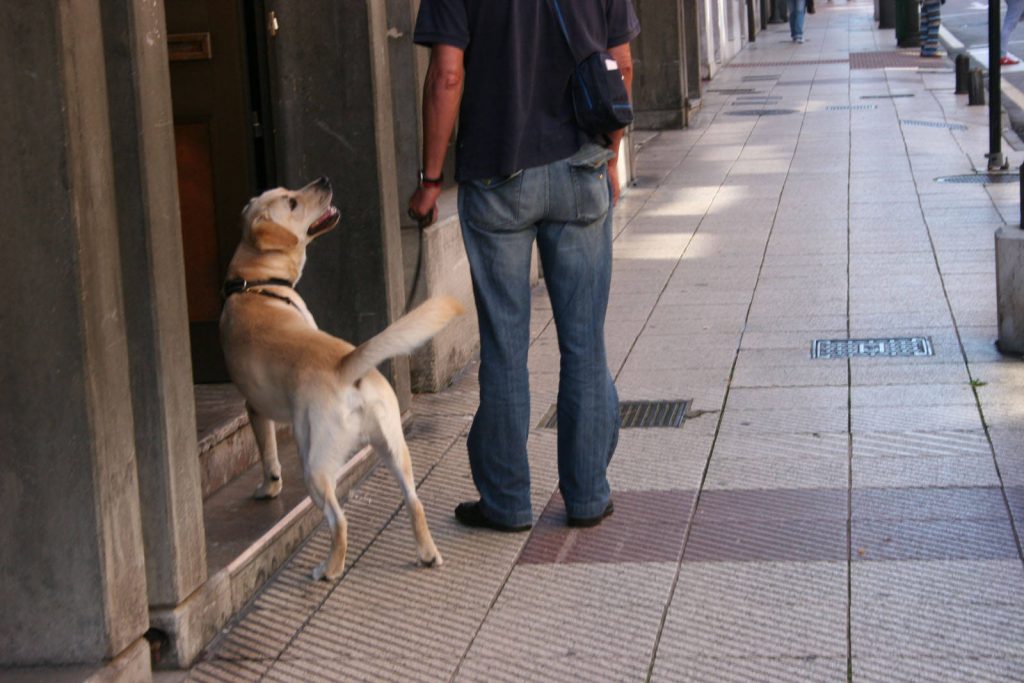 Un hombre pasea a su perro.
