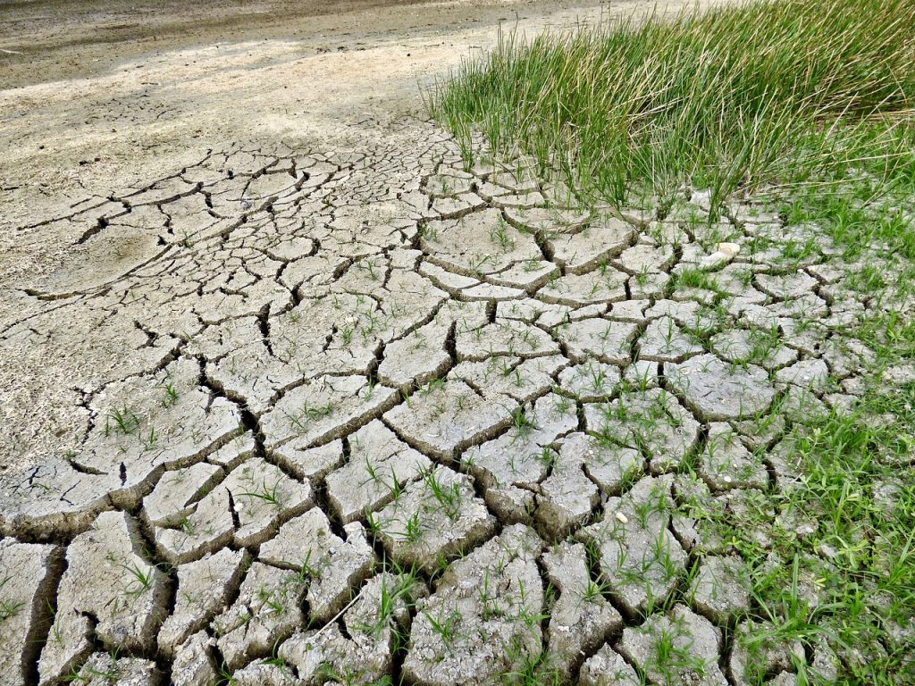 Imagen de archivo la desertificación del suelo debido al aumento de las temperaturas.