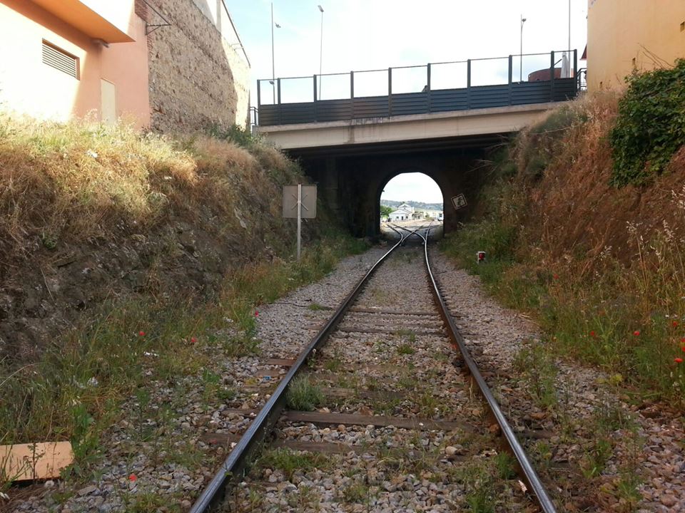 Image/photo