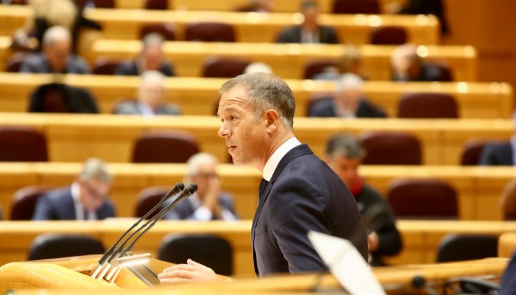 El portavoz del PSOE en el Senado, Ander Gil.