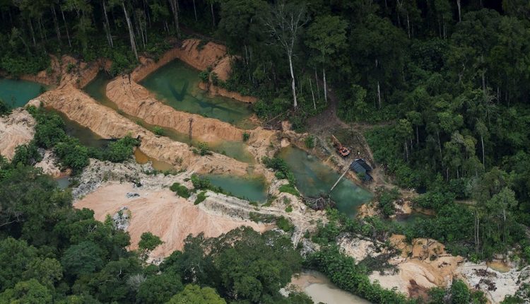 destrucción del medioambiente